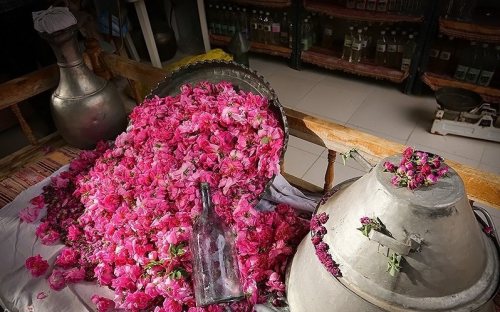 فروشگاه قدمگاه | تولید عرقیجات و گلاب