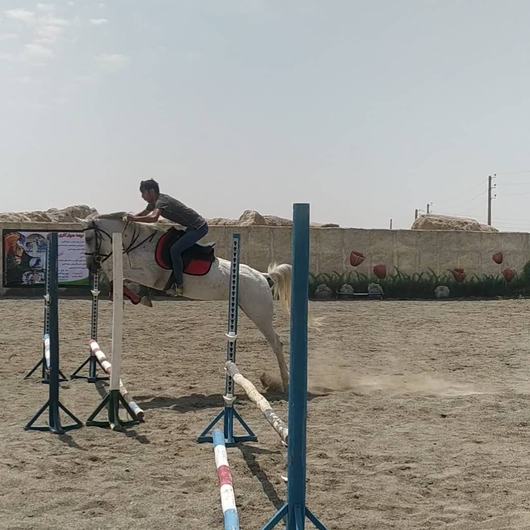 باشگاه سوارکاری پارادایس هورس