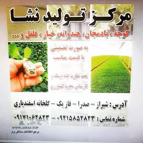 گلخانه تولید نشا بیات