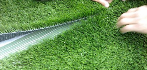 شرکت سبزکاران چمن رویش